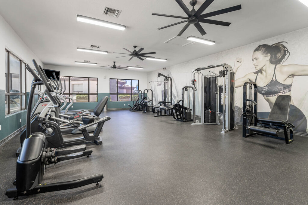 Gym space with cardio and strength training equipment, large windows and ceiling fans.