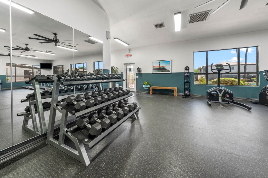 Weight stand and other strength training equipment in a gym space.