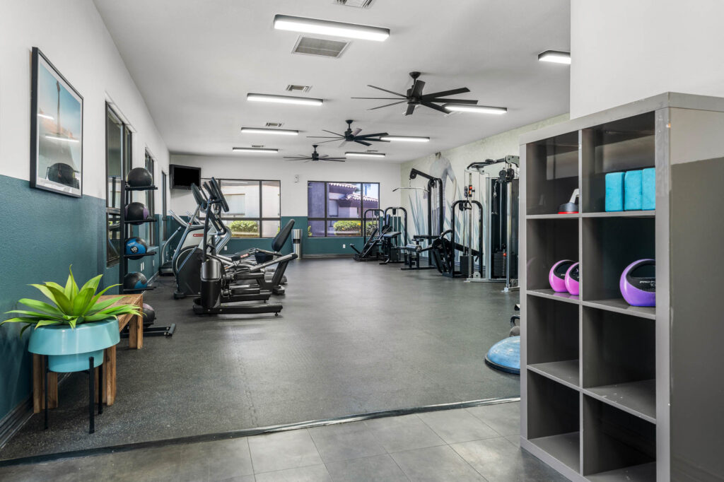Shelves for gym storage at fitness center entrance, with strength and cardio equipment in an open space.